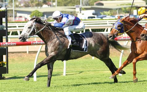 ROSEHILL GOLD CUP Form Guide and Analysis .